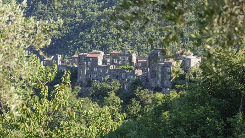 Albicocco